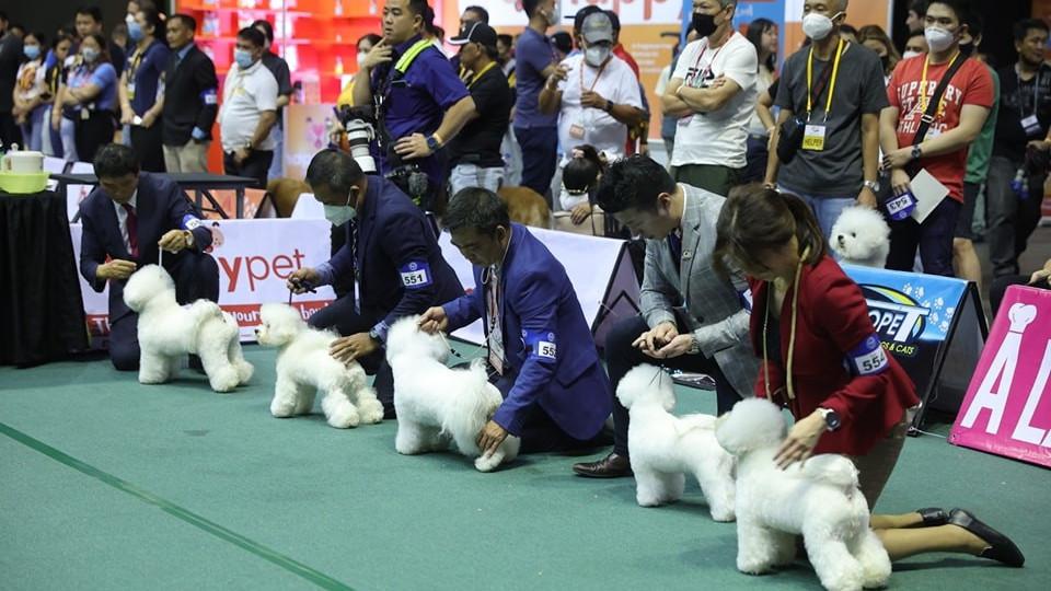 Asia’s biggest dog show happening at the Big Dome