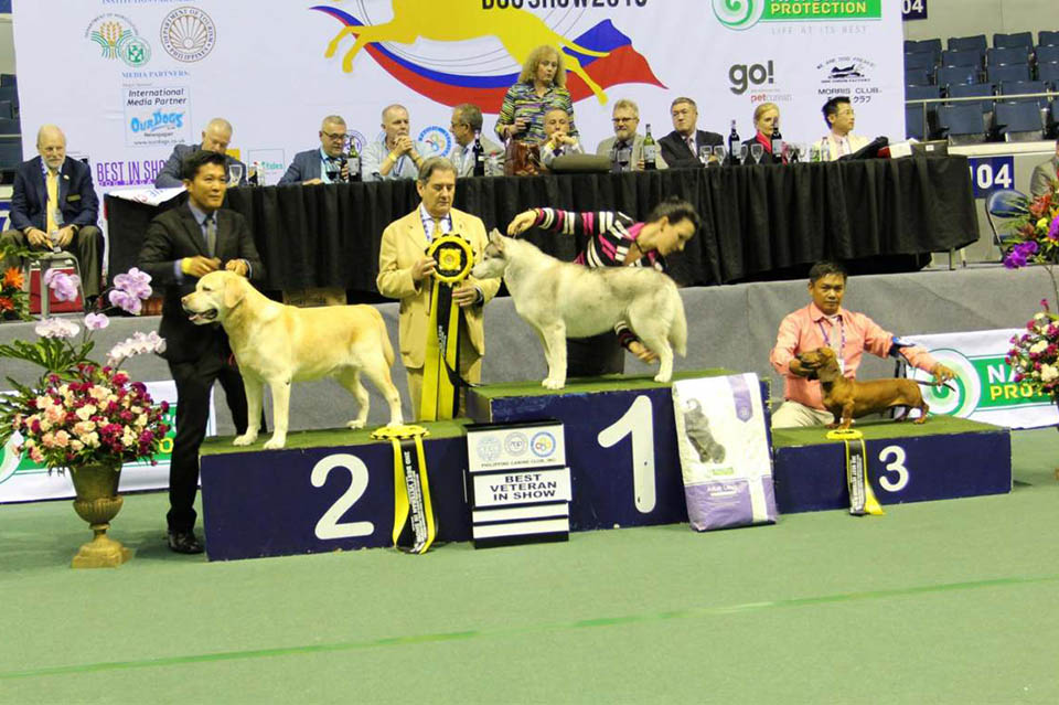 A fur-fect start to 2019: Asia’s biggest dog show returns to Smart Araneta Coliseum